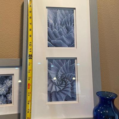 Unique succulent pictures with blue vase