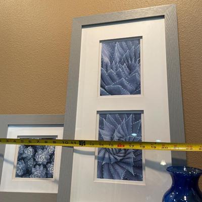 Unique succulent pictures with blue vase