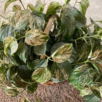 Faux plant with wall decor