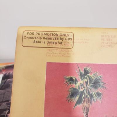 Promotional Vintage Records: Led Zeppelin & More (BLR-KD)