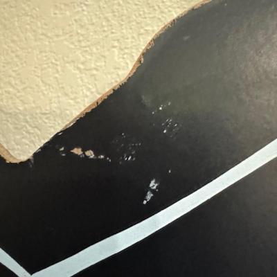 Halloween Cut Out Cat on Pumpkin