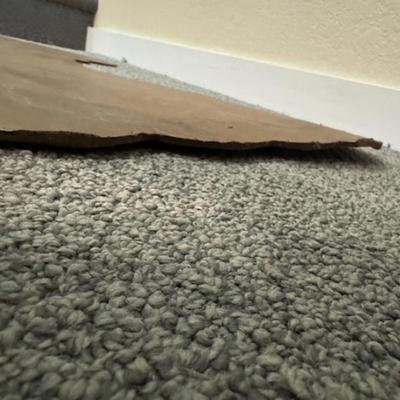 Halloween Cut Out Cat on Pumpkin