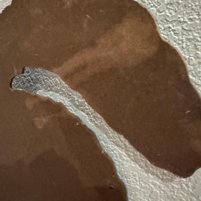 Halloween Cut Out Cat on Pumpkin