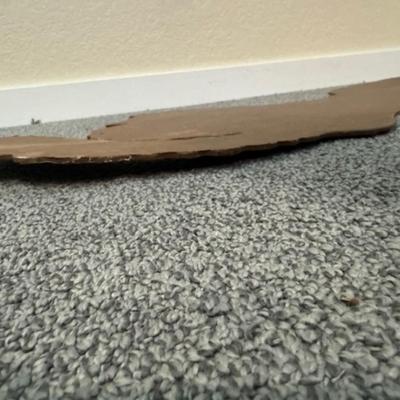 Halloween Cut Out Cat on Pumpkin