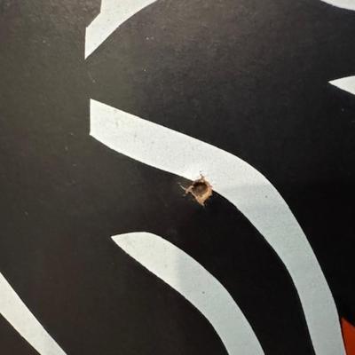 Halloween Cut Out Cat on Pumpkin