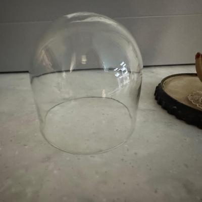 Old Perfume Holder and Vintage Displays