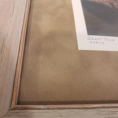 Two Framed Photos of Cranes by W. Clifton (BLR-KD)