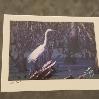Two Framed Photos of Cranes by W. Clifton (BLR-KD)