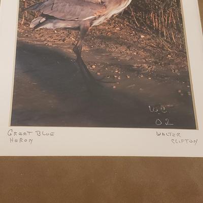 Two Framed Photos of Cranes by W. Clifton (BLR-KD)