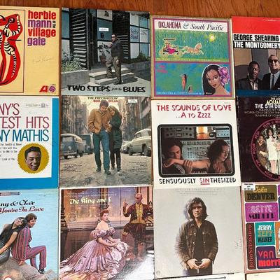 Collection of Vintage Vinyl Records
