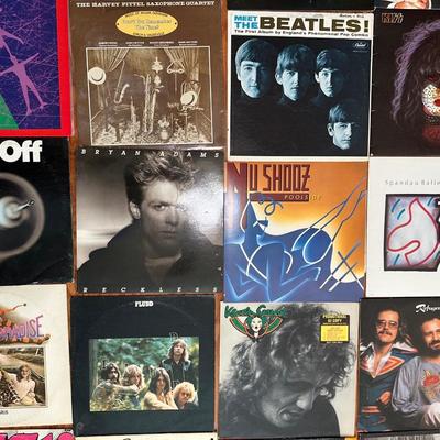 Collection of Vintage Vinyl Records