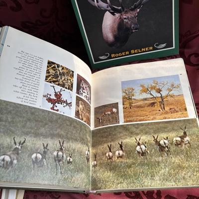 The Hunters World and Greatest Elk