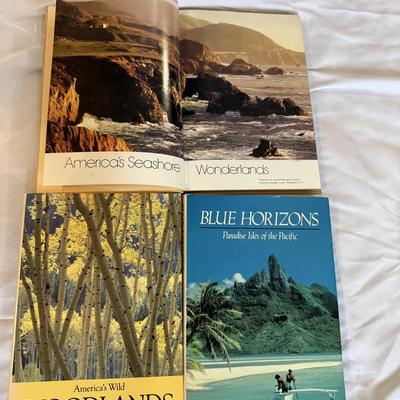 Sale Photo Thumbnail #100: Coffee table books