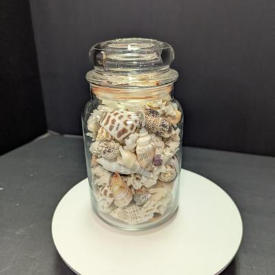 Sale Photo Thumbnail #326