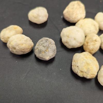 Sale Photo Thumbnail #350