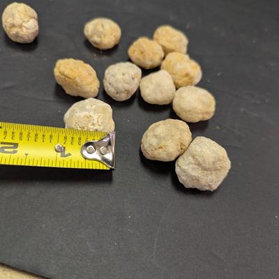 Sale Photo Thumbnail #353