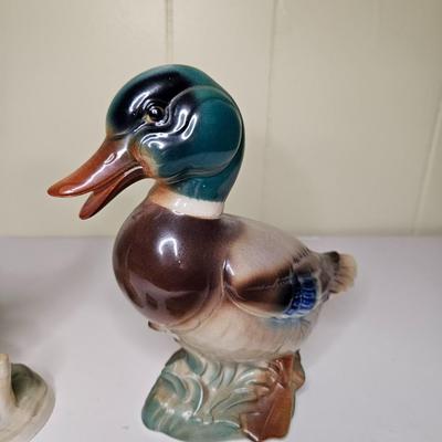 Sale Photo Thumbnail #141