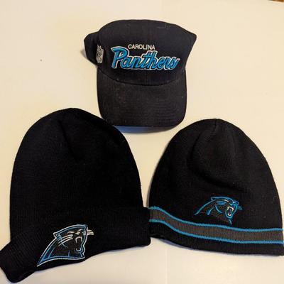 Carolina Panthers Skull Caps
