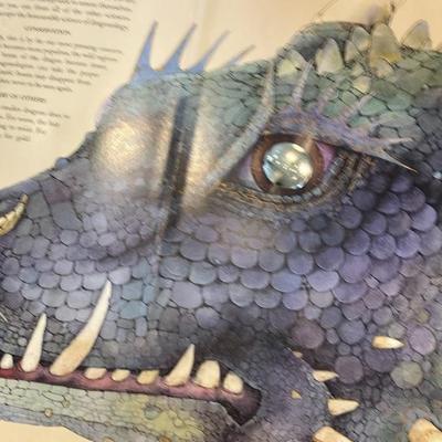 Illustrated Dragon Books