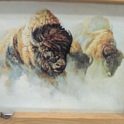 15" x 13" Buffalo On Canvas