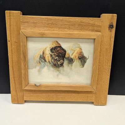 15" x 13" Buffalo On Canvas