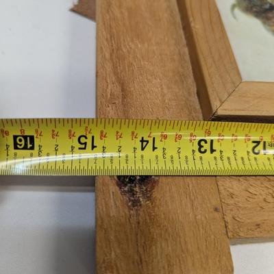 15" x 13" Buffalo On Canvas