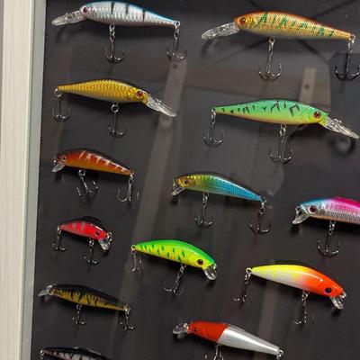 Fishing Lures Mounted In Shadow Box