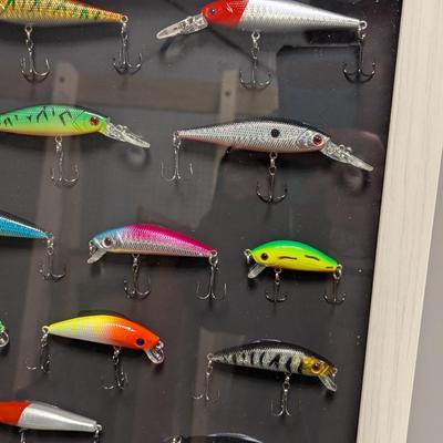 Fishing Lures Mounted In Shadow Box