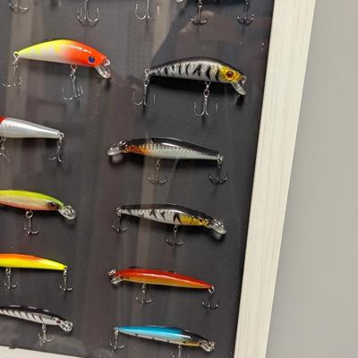 Fishing Lures Mounted In Shadow Box