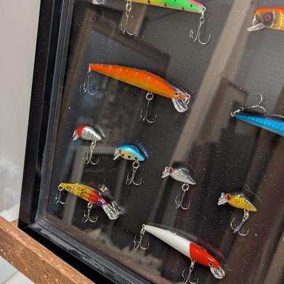 Fishing Lures Mounted In Shadow Box