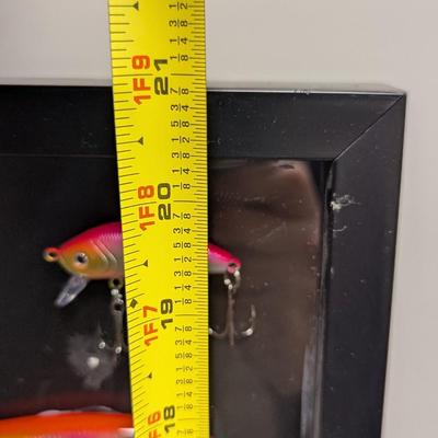 Fishing Lures Mounted In Shadow Box