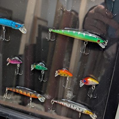 Fishing Lures Mounted In Shadow Box
