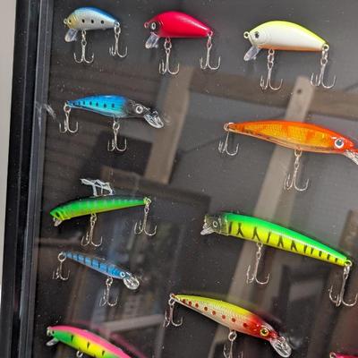 Fishing Lures Mounted In Shadow Box