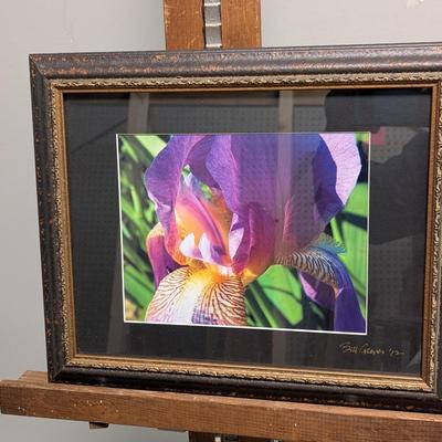 Approx 16" x 13 7/8" Butterflies, Blossoms Bill Groves Photographer Franklin NC