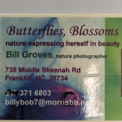 Approx 16" x 13 7/8" Butterflies, Blossoms Bill Groves Photographer Franklin NC