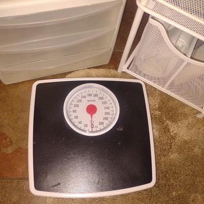 SHOWER CURTAIN, SCALE, ORGANIZERS, TOWELS AND MORE