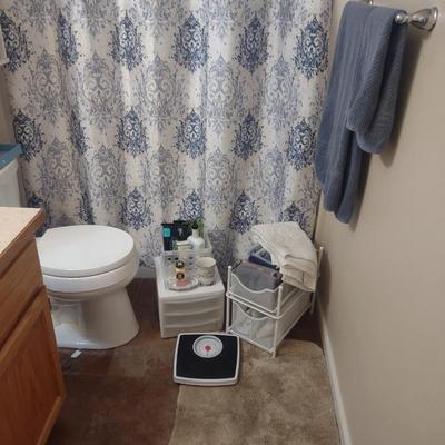 SHOWER CURTAIN, SCALE, ORGANIZERS, TOWELS AND MORE