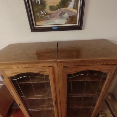 2 DOOR DISPLAY CABINET