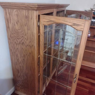 2 DOOR DISPLAY CABINET