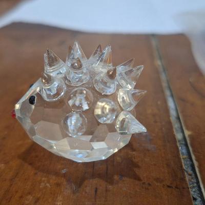 Sale Photo Thumbnail #1534: see all photos, in the photo on the left above the eye you can see he has a spike with a broken tip