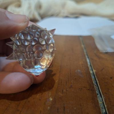 Sale Photo Thumbnail #1538: see all photos, in the photo on the left above the eye you can see he has a spike with a broken tip