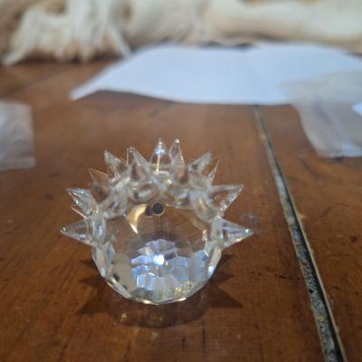 Sale Photo Thumbnail #1537: see all photos, in the photo on the left above the eye you can see he has a spike with a broken tip