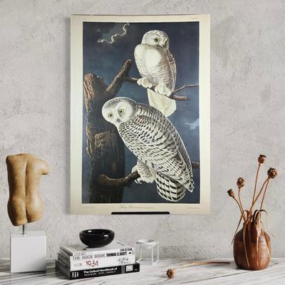 200 Audubon “Snowy Owl” Hand-Colored Engraving from Birds of America, Havell Edition
