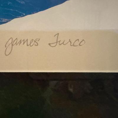 Large Signed Framed Art