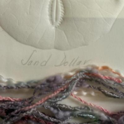 Sand Dollar Framed Art