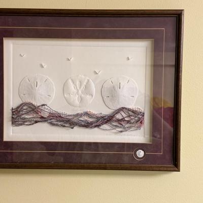Sand Dollar Framed Art