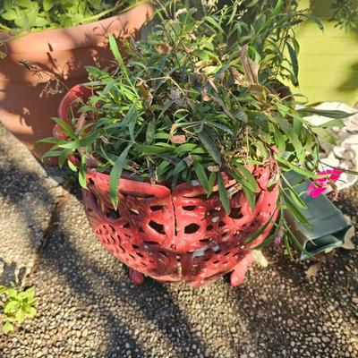 Sale Photo Thumbnail #813