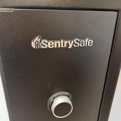 Sentry Safe Gun Safe (O-MG)