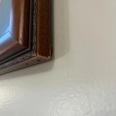 Canvas Backed Duck Print Audubon Plate (LR-BC)