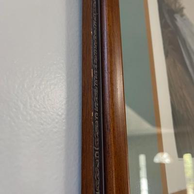 Canvas Backed Duck Print Audubon Plate (LR-BC)